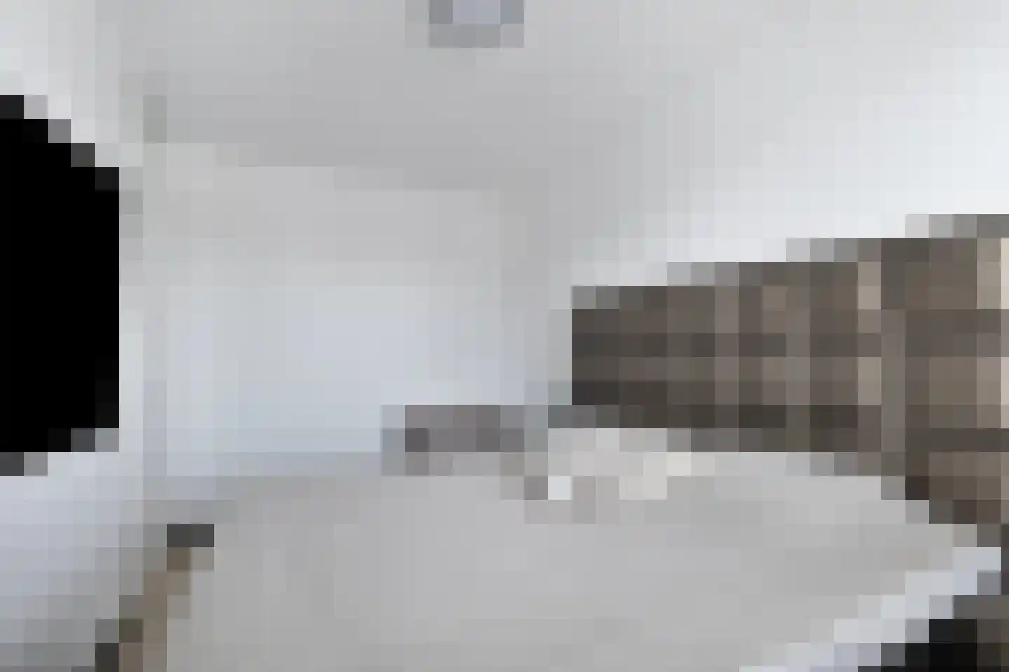 Veenbos 14 Moerstraten thumbnail 24