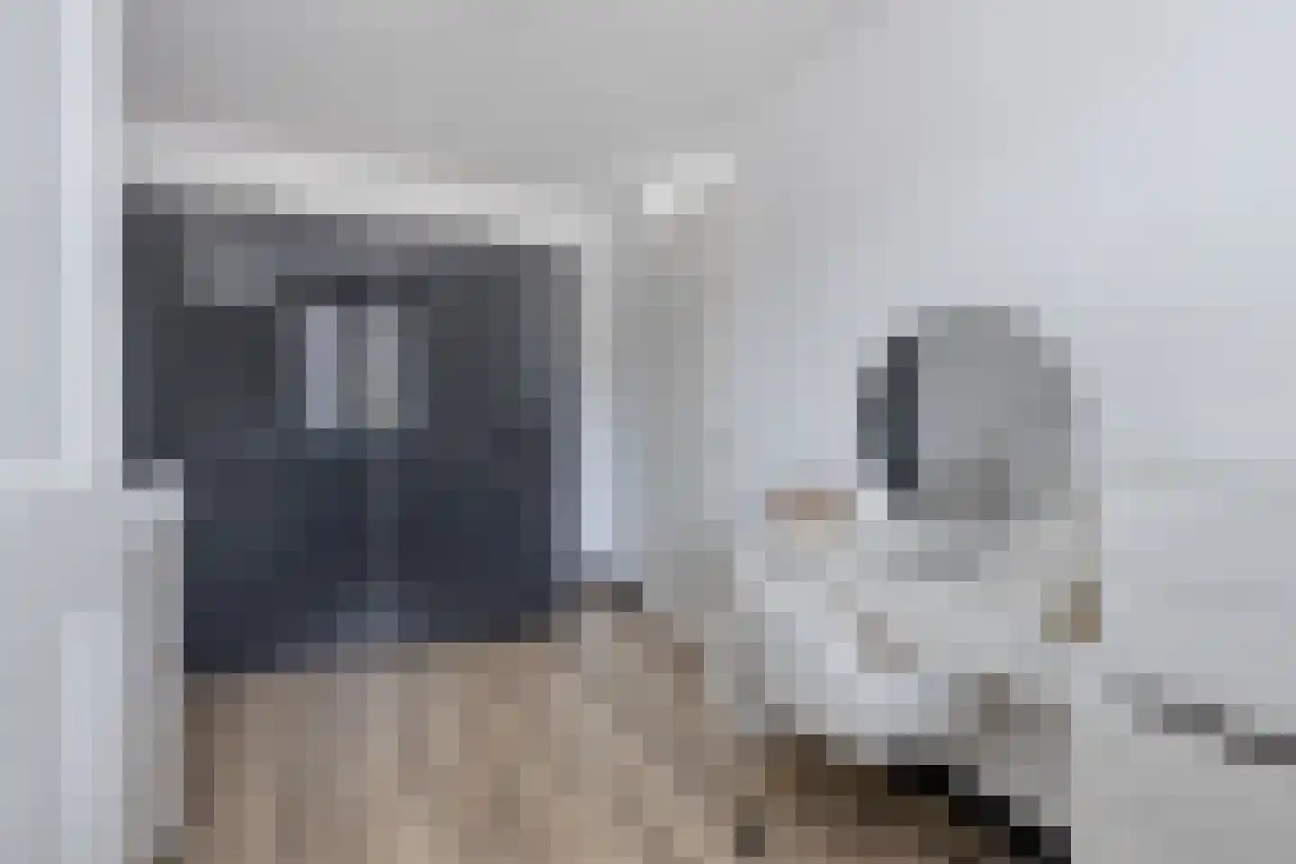 Veenbos 14 Moerstraten thumbnail 28