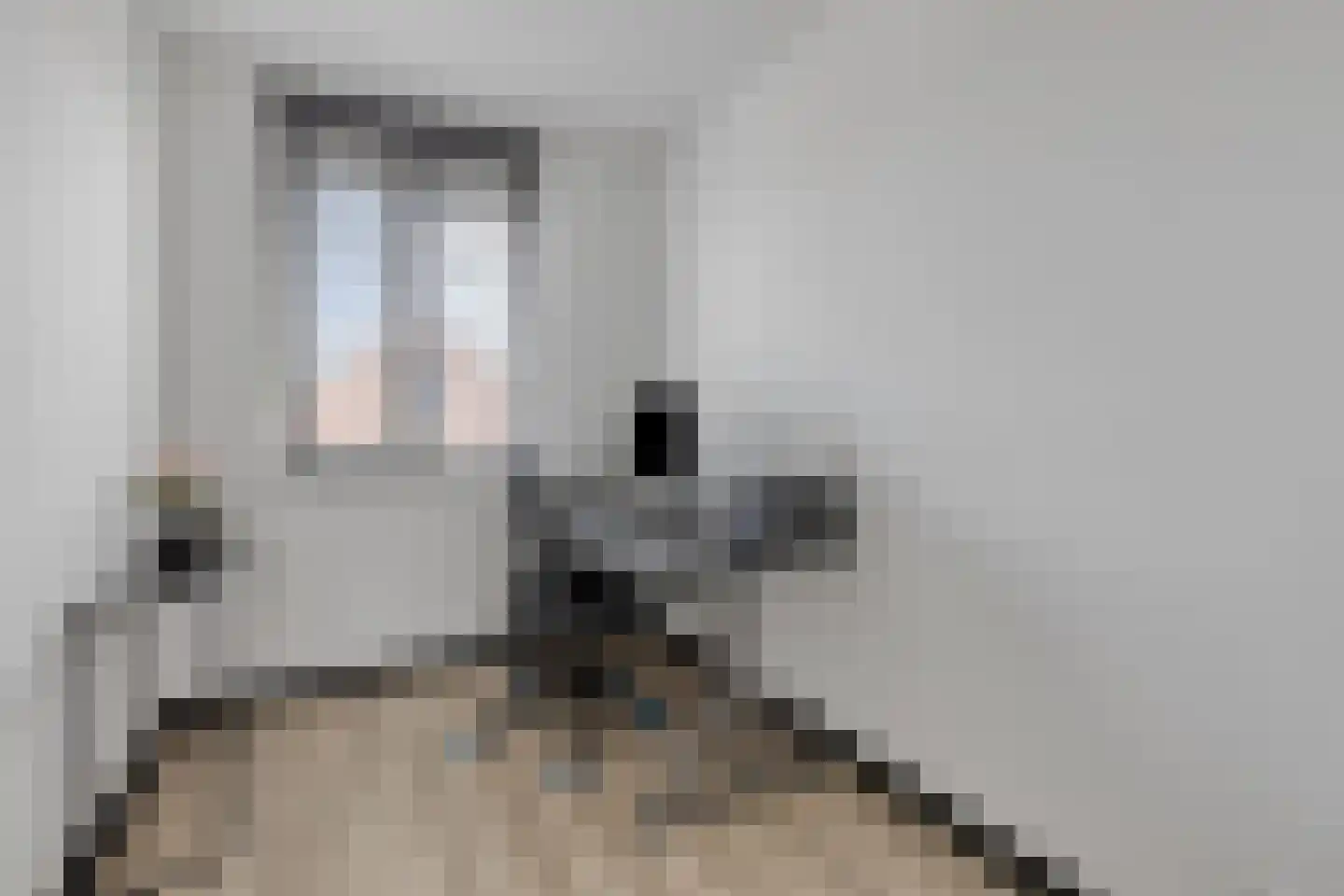Veenbos 14 Moerstraten thumbnail 29