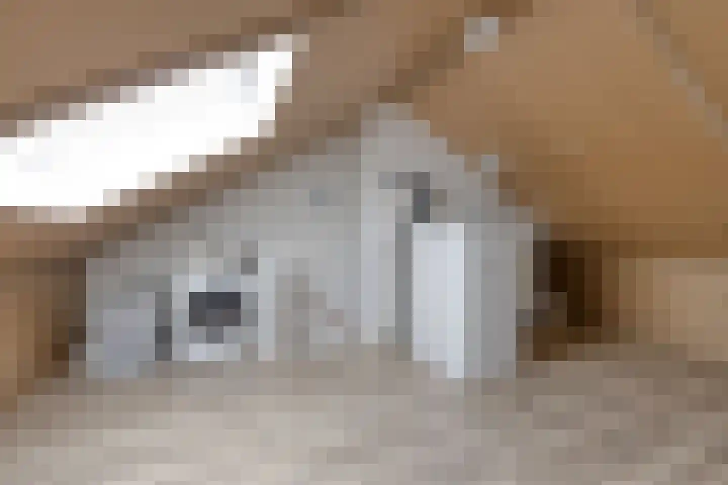 Veenbos 14 Moerstraten thumbnail 31
