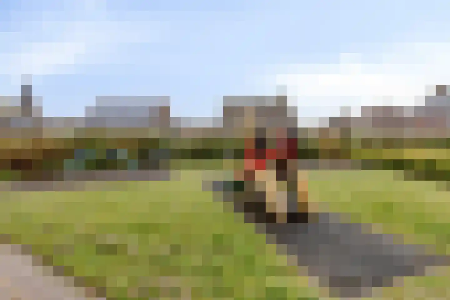 Veenbos 14 Moerstraten thumbnail 39