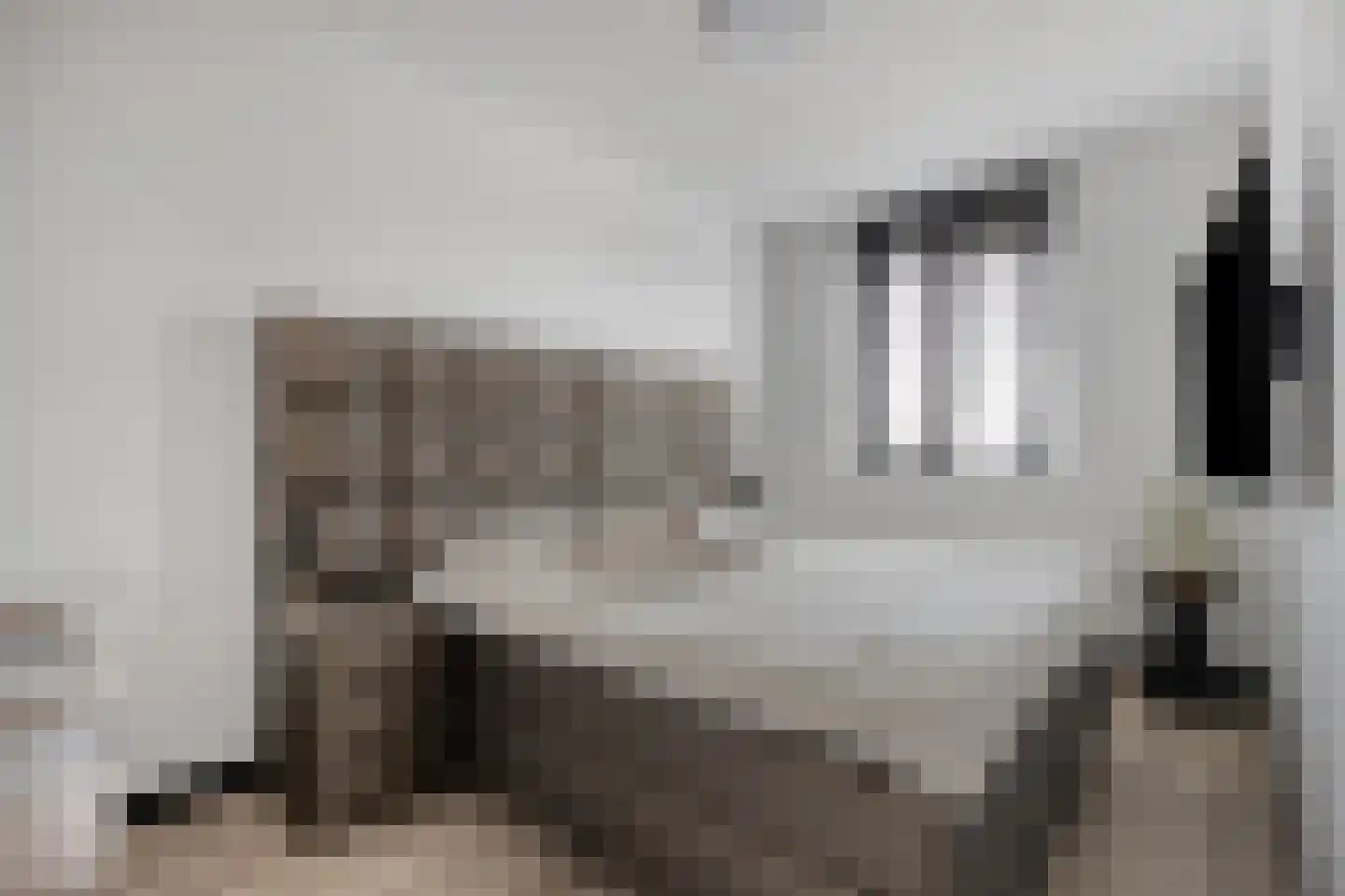 Veenbos 14 Moerstraten thumbnail 4