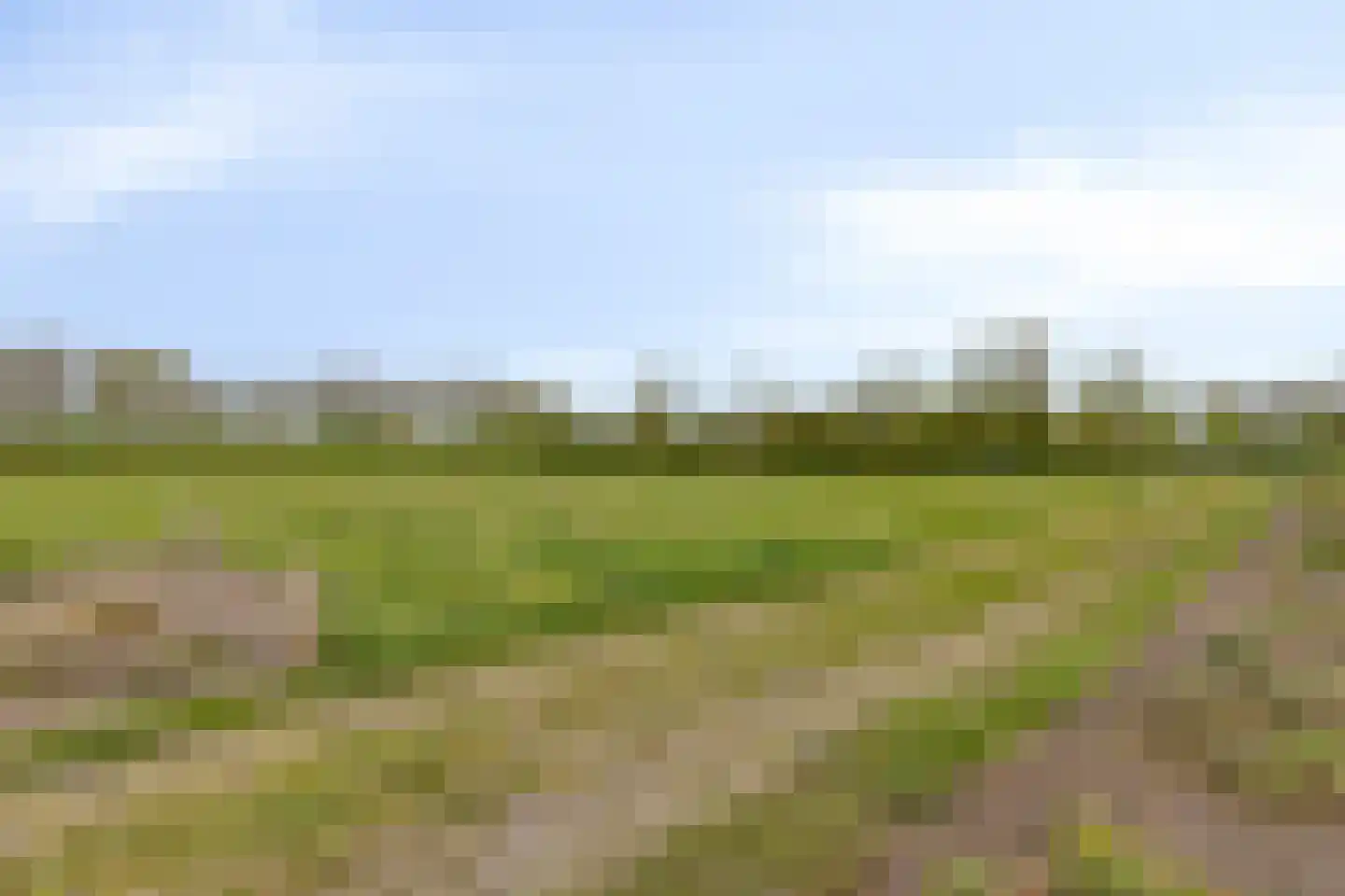 Veenbos 14 Moerstraten thumbnail 41