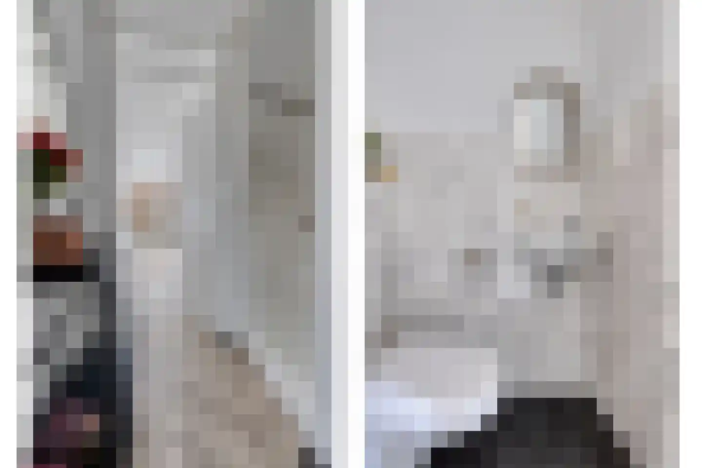 Veenbos 14 Moerstraten thumbnail 8