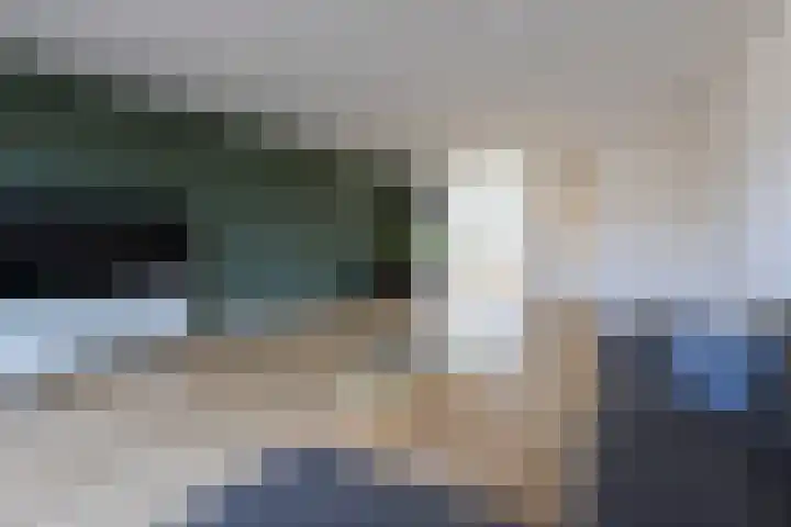 Veenbos 23 Moerstraten thumbnail 10