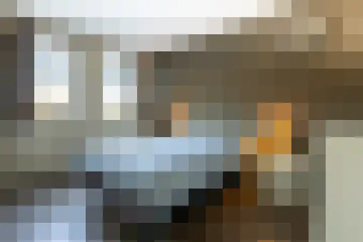 Veenbos 23 Moerstraten thumbnail 12