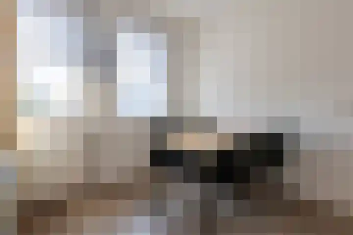 Veenbos 23 Moerstraten thumbnail 20