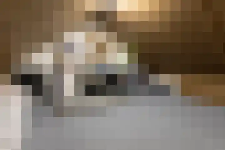 Veenbos 23 Moerstraten thumbnail 22