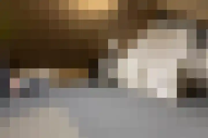 Veenbos 23 Moerstraten thumbnail 23