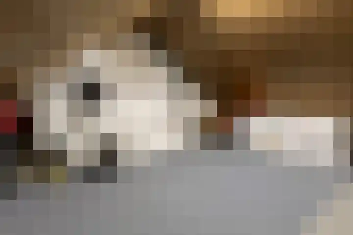 Veenbos 23 Moerstraten thumbnail 24