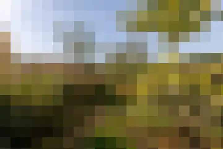 Veenbos 23 Moerstraten thumbnail 25