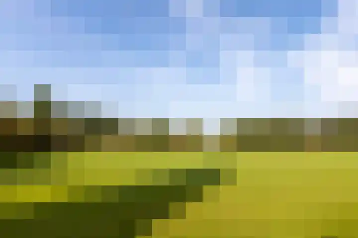 Veenbos 23 Moerstraten thumbnail 26