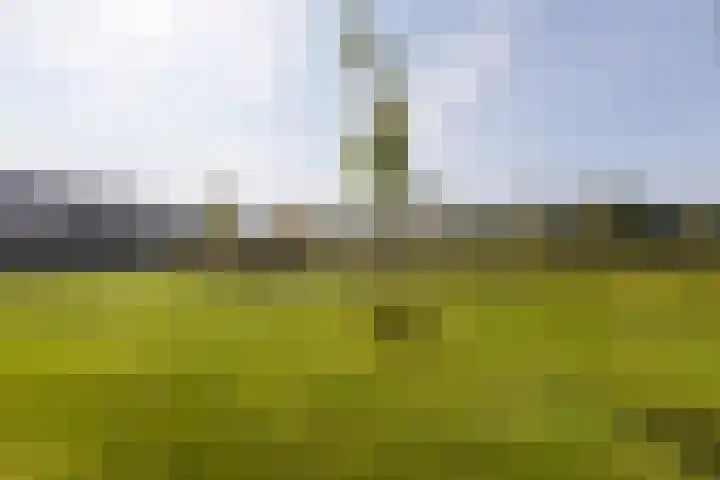 Veenbos 23 Moerstraten thumbnail 27