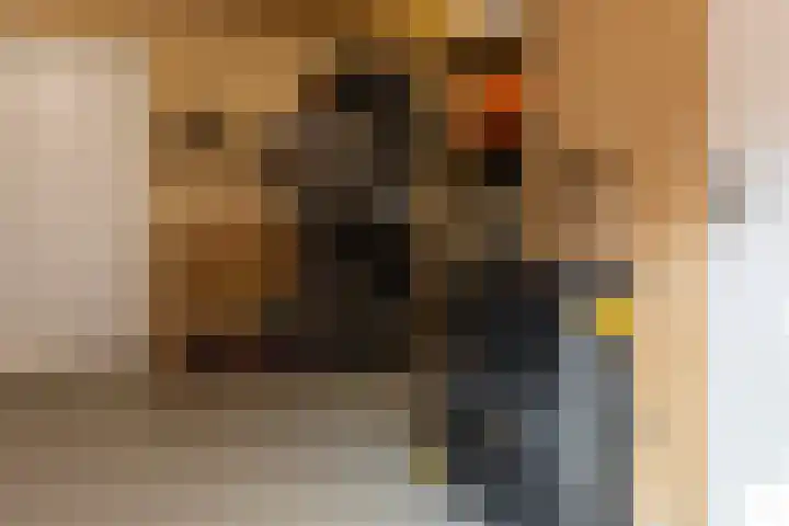 Veenbos 23 Moerstraten thumbnail 29