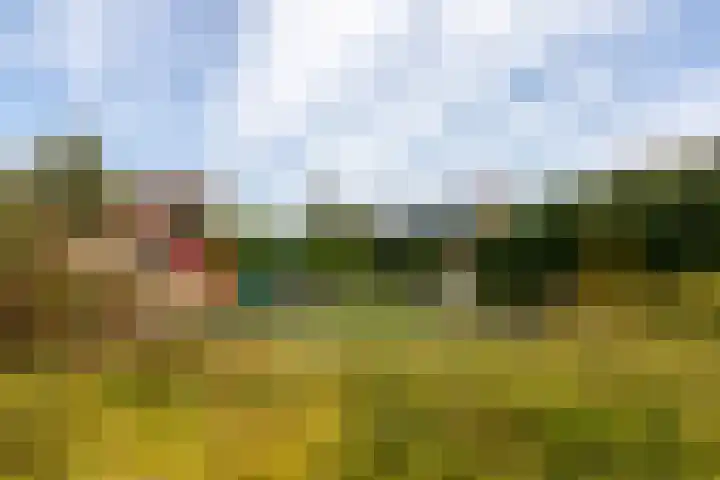 Veenbos 23 Moerstraten thumbnail 32