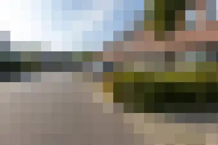 Veenbos 23 Moerstraten thumbnail 33