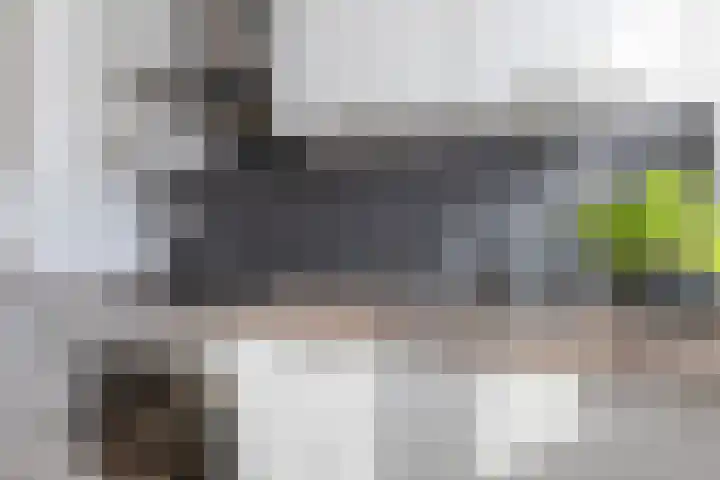 Veenbos 23 Moerstraten thumbnail 6