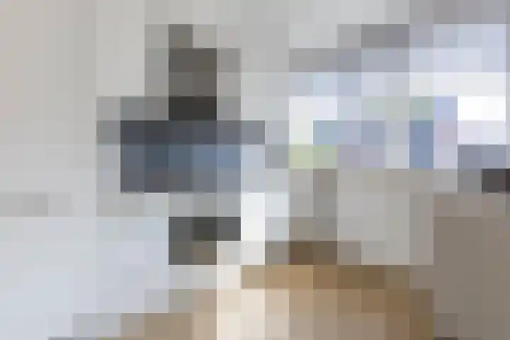 Veenbos 23 Moerstraten thumbnail 7