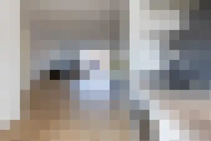 Veenbos 23 Moerstraten thumbnail 9