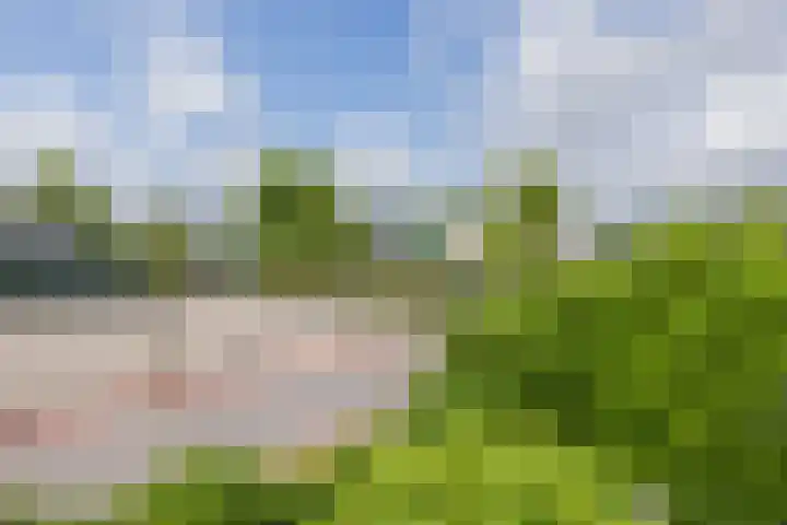 Veenburg 105 Sassenheim thumbnail 24