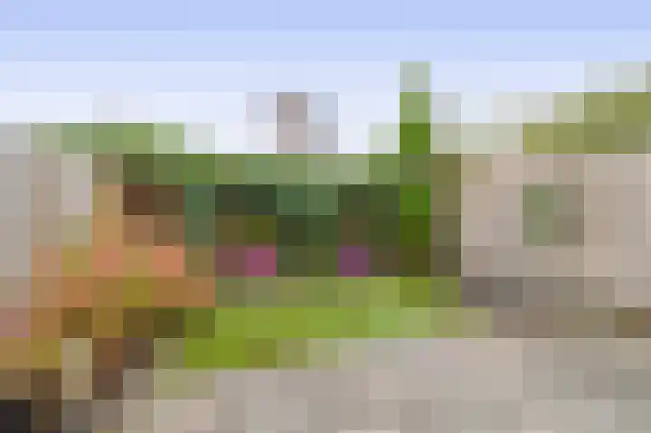Veenburg 17 Sassenheim thumbnail 18