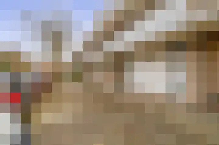 Veenburg 17 Sassenheim thumbnail 22