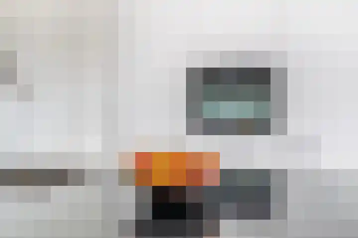 Veenburg 17 Sassenheim thumbnail 8