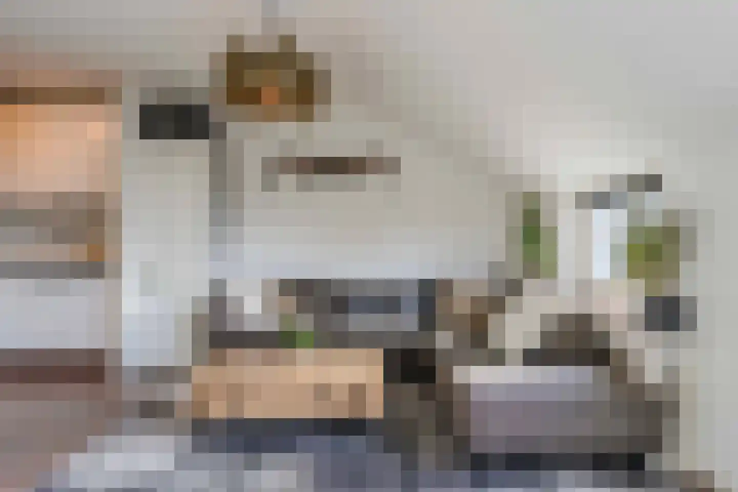 Veenburg 205 Sassenheim thumbnail 18