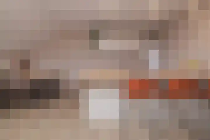 Veenburg 211 Sassenheim thumbnail 16