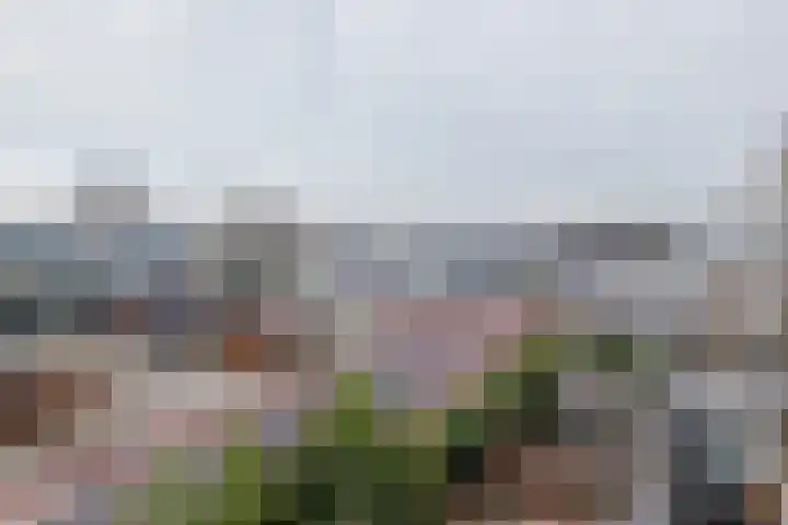 Veenburg 211 Sassenheim thumbnail 25