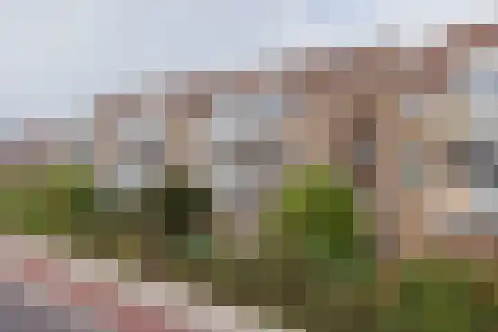 Veenburg 211 Sassenheim thumbnail 32