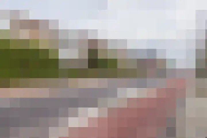 Veenburg 211 Sassenheim thumbnail 33
