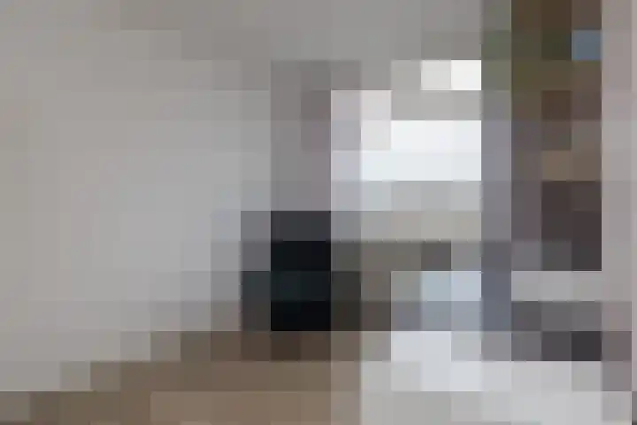 Veenburg 211 Sassenheim thumbnail 7