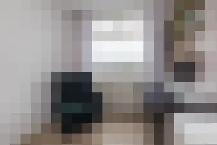 Veenburg 211 Sassenheim thumbnail 8
