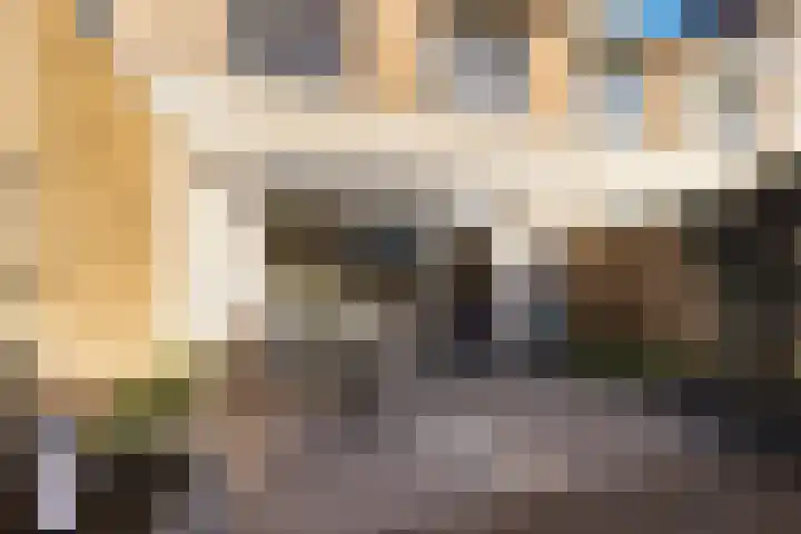 Veenderij 32 Stolwijk thumbnail 13