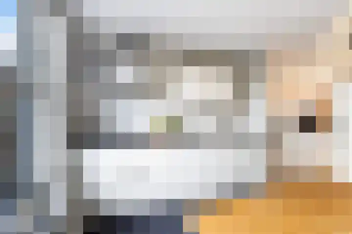 Veenderij 32 Stolwijk thumbnail 9