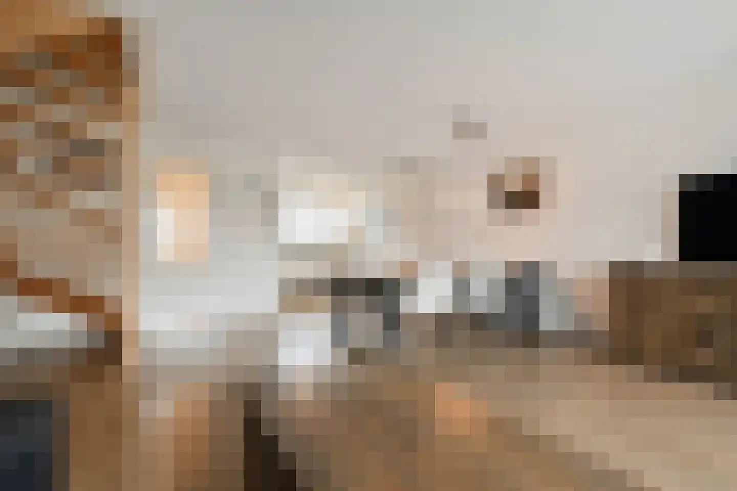Veenderij 37 Nootdorp thumbnail 23