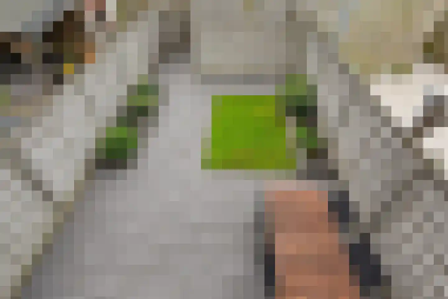 Veenderij 37 Nootdorp thumbnail 39