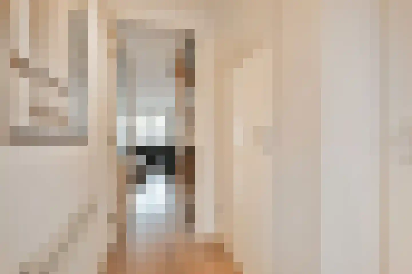 Veenderij 37 Nootdorp thumbnail 8