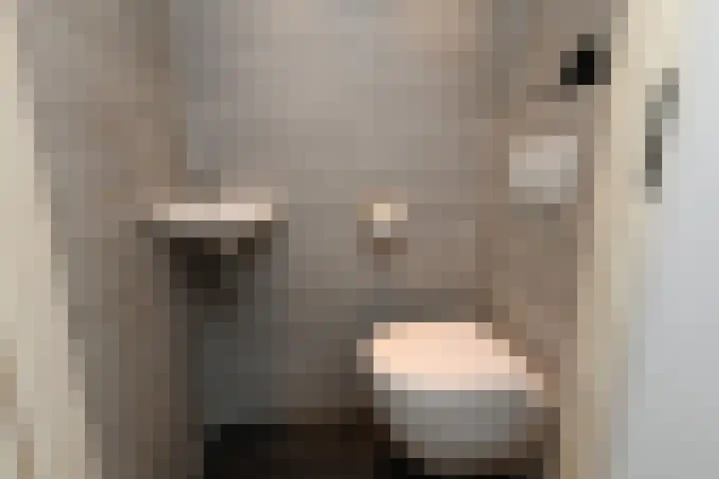 Veenderij 37 Nootdorp thumbnail 9