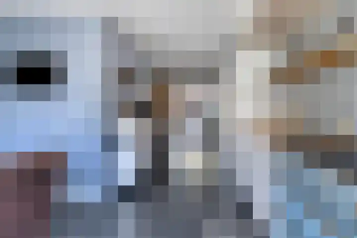 Veenderij 45 Tolbert thumbnail 12