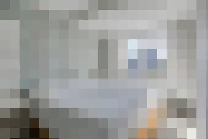 Veenderij 45 Tolbert thumbnail 19