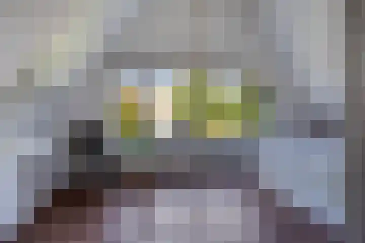 Veenderij 45 Tolbert thumbnail 27