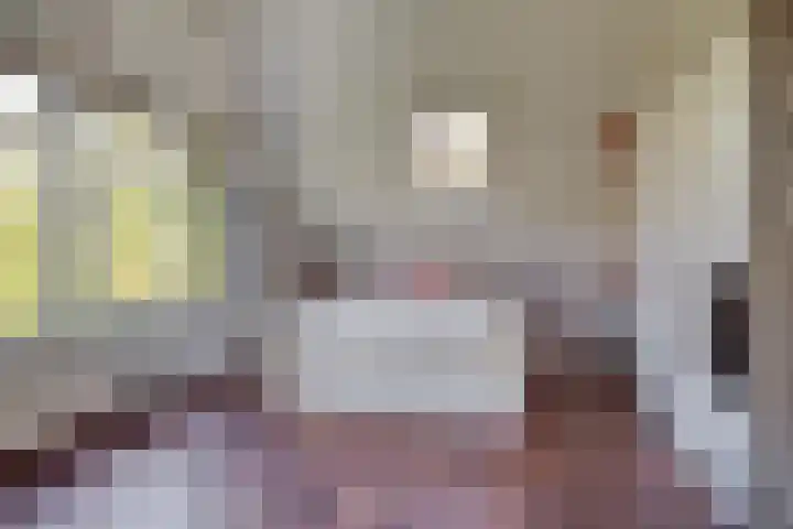 Veenderij 45 Tolbert thumbnail 28