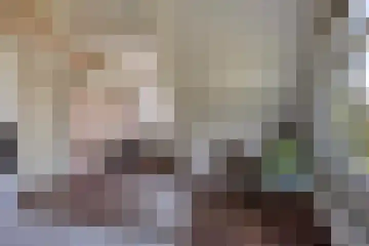Veenderij 45 Tolbert thumbnail 29