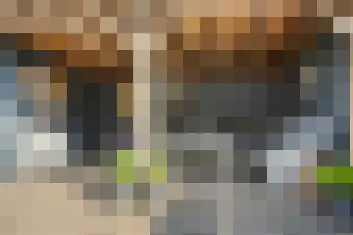 Veenderij 45 Tolbert thumbnail 33