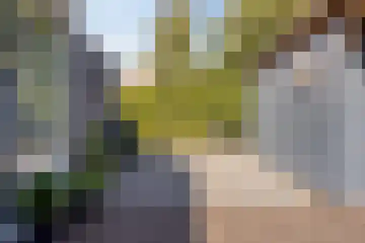 Veenderij 45 Tolbert thumbnail 34