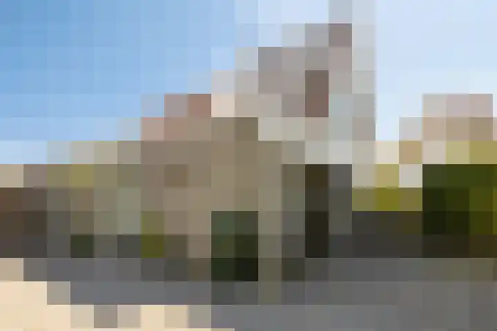 Veenderij 45 Tolbert thumbnail 36