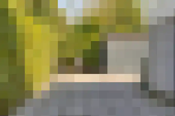 Veenderij 45 Tolbert thumbnail 37