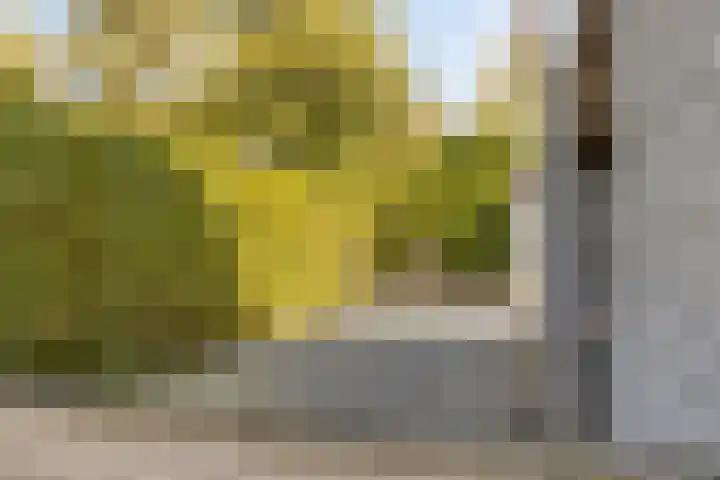 Veenderij 45 Tolbert thumbnail 38